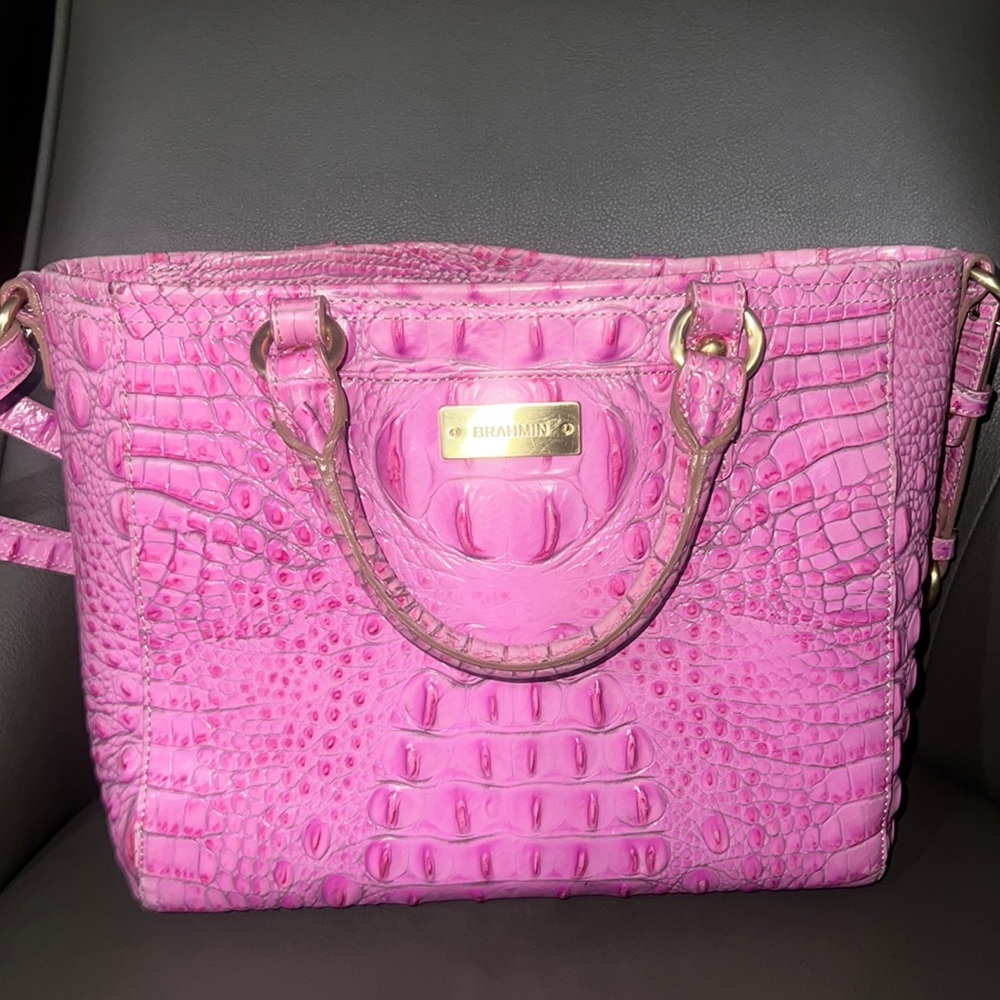 Pink Brahmin Purse